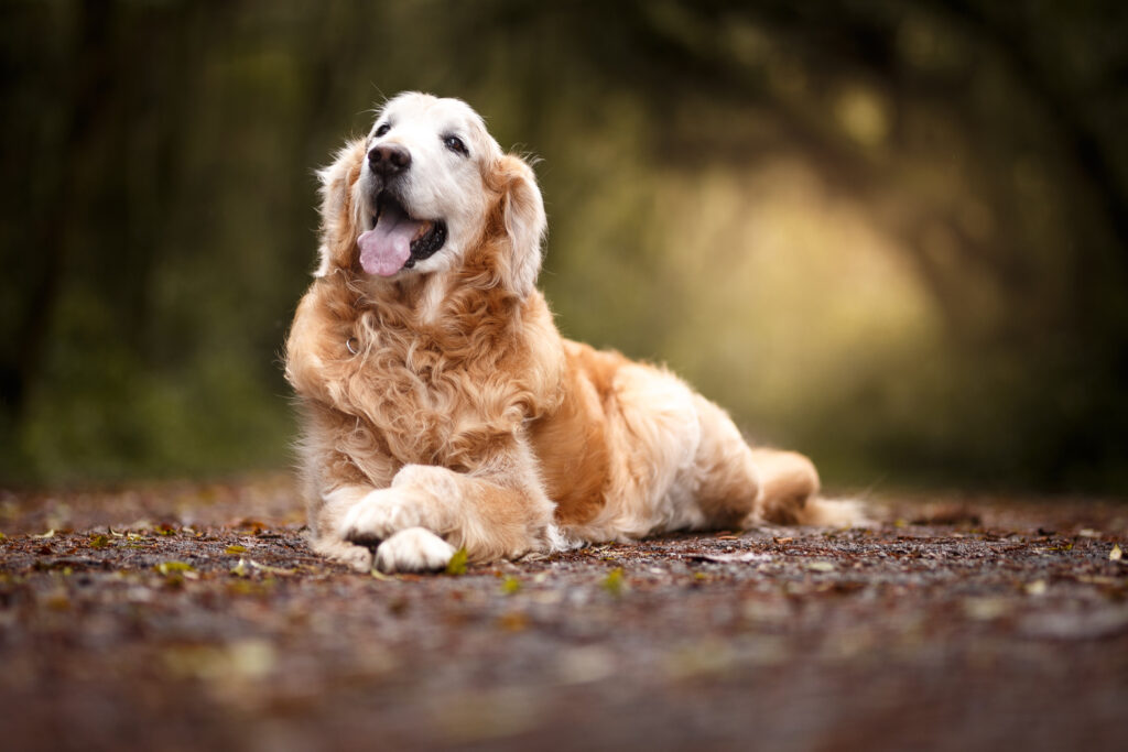 IStock 1052880600 1024x683